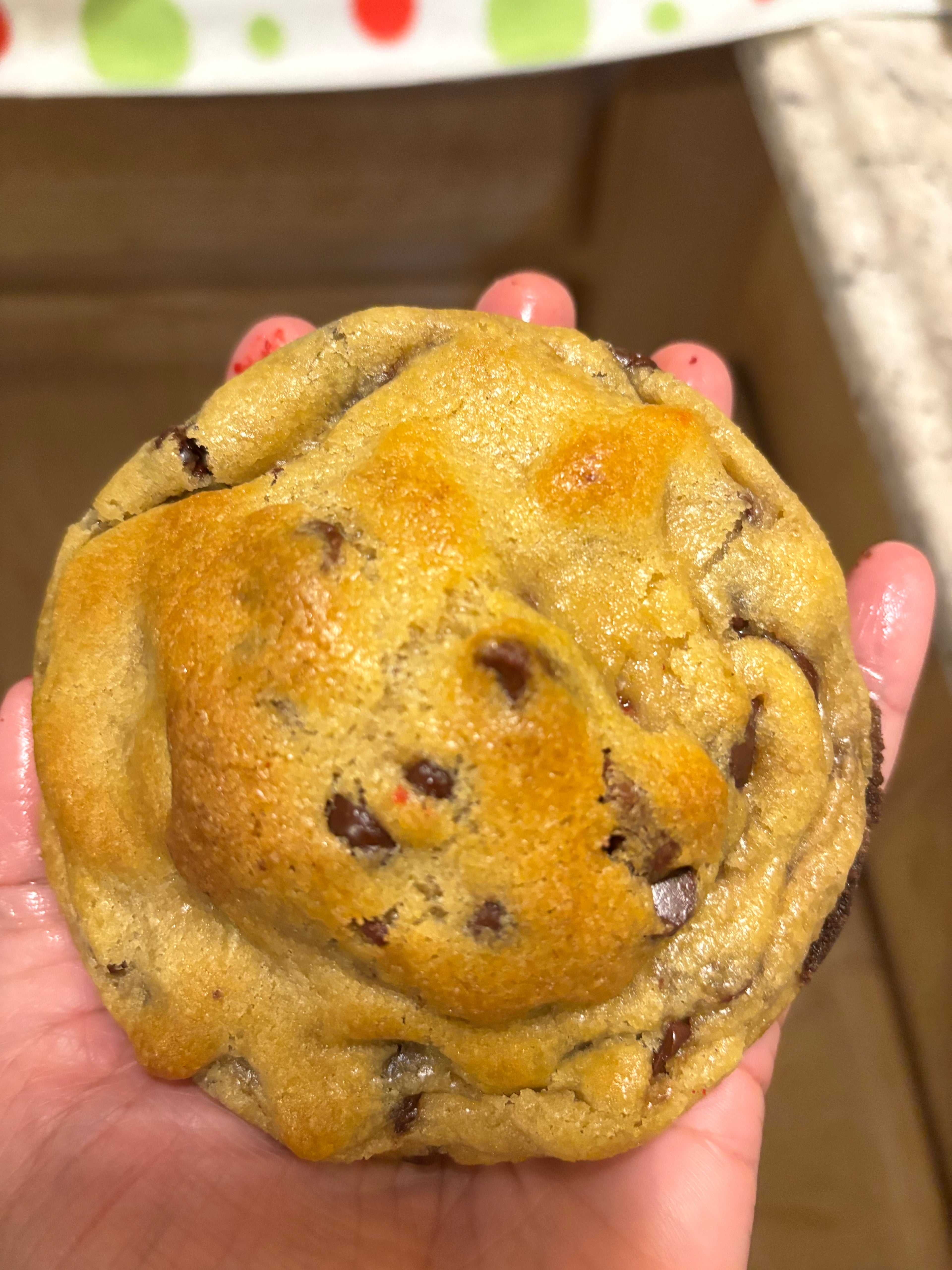chocoletchip cookie