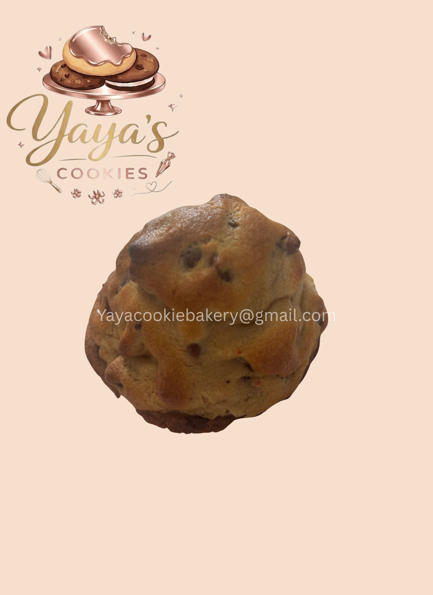 chocoletchip cookie